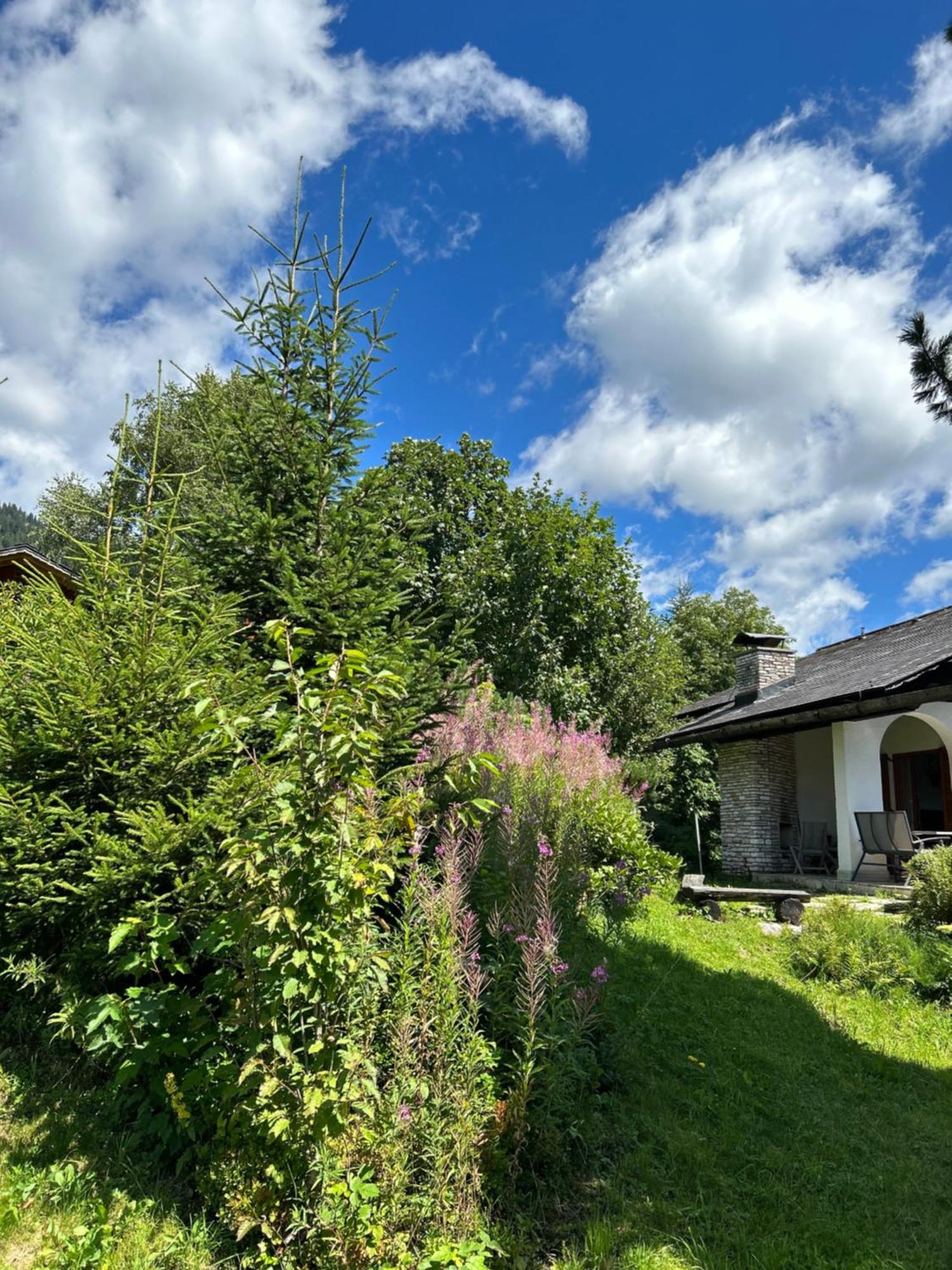 Haus Grimmingblick Vila Zlem Exterior foto
